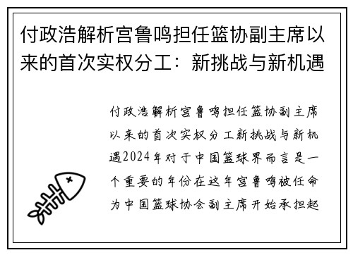 付政浩解析宫鲁鸣担任篮协副主席以来的首次实权分工：新挑战与新机遇