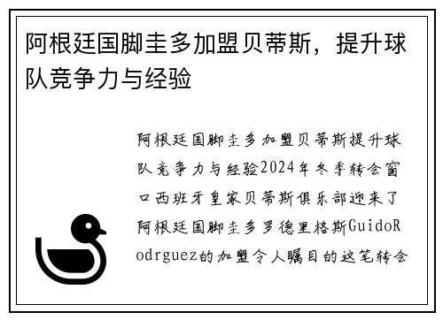 阿根廷国脚圭多加盟贝蒂斯，提升球队竞争力与经验