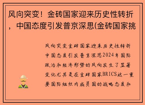 风向突变！金砖国家迎来历史性转折，中国态度引发普京深思(金砖国家挑战世界经济新趋势)