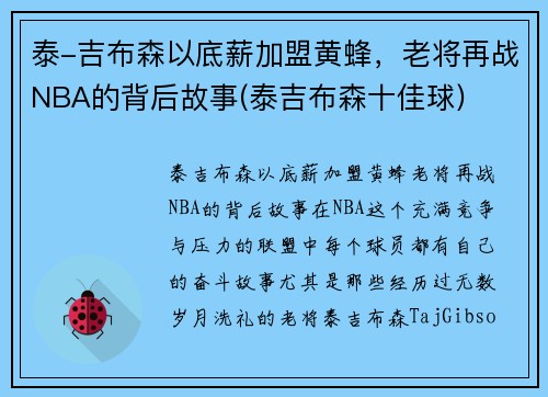 泰-吉布森以底薪加盟黄蜂，老将再战NBA的背后故事(泰吉布森十佳球)